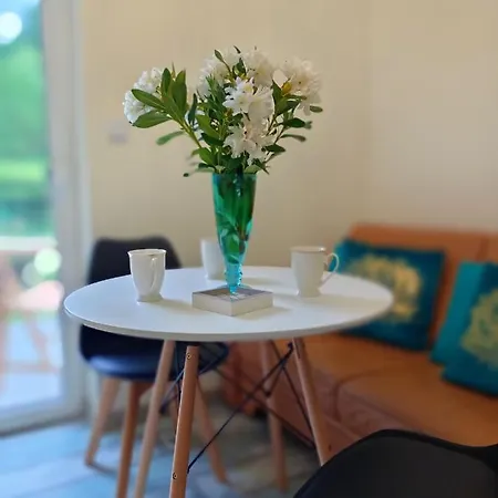 Apartament Rozety Maroka *